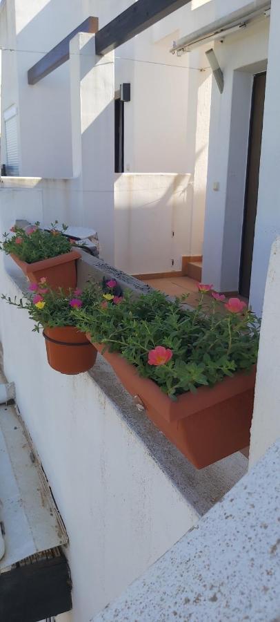 Condado De Alhama, Naranjos 8 Διαμέρισμα Alhama de Murcia Εξωτερικό φωτογραφία